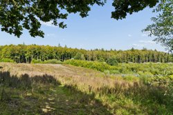 Rugårdsvej 706, 5462 Morud