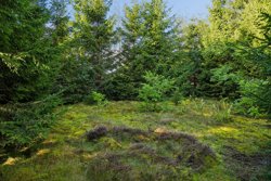 Knudehus 43, Råsted, 7570 Vemb