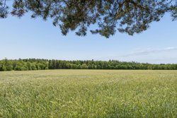 Skovagervej 114, Hvidding, 8830 Tjele