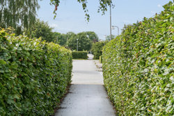 Tranevej 27, 7480 Vildbjerg