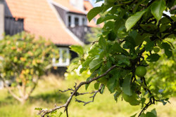 Gyvelvang 4, Lyngsbæk, 8400 Ebeltoft