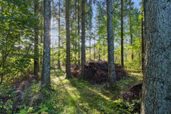 Horsensvej 61, Krondal, 8766 Nørre Snede