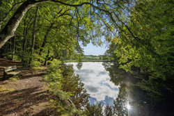 Østre Skovvej 9, 9574 Bælum
