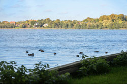 Lyngen 30, 2800 Kongens Lyngby