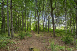 Forsytiavej 5, 9700 Brønderslev