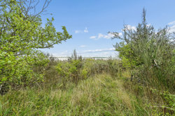 Halsebyvej 30B, Svenstrup, 4220 Korsør