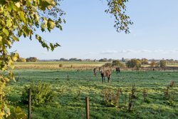 Mariagervej 372, 8981 Spentrup