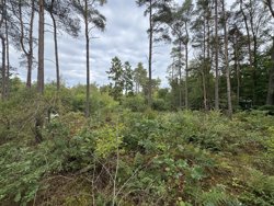 Lyngbakkevej 6, Fuglslev, 8400 Ebeltoft