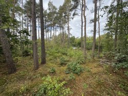 Lyngbakkevej 6, Fuglslev, 8400 Ebeltoft