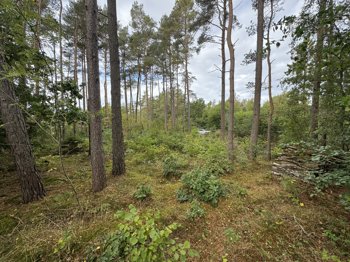 Lyngbakkevej 6, 8400 Ebeltoft