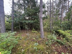 Lyngbakkevej 6, Fuglslev, 8400 Ebeltoft