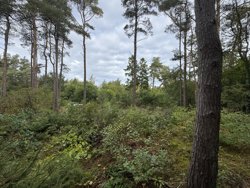 Lyngbakkevej 6, Fuglslev, 8400 Ebeltoft
