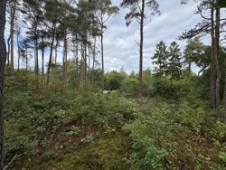 Lyngbakkevej 6, Fuglslev, 8400 Ebeltoft