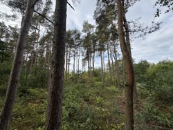 Lyngbakkevej 6, Fuglslev, 8400 Ebeltoft