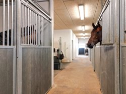 Rolighedsvej 31, 9382 Tylstrup