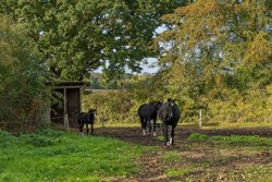 Gammel Landevej 15, Gl Mølle, 8586 Ørum Djurs