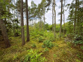 Lyngbakkevej 6, 8400 Ebeltoft