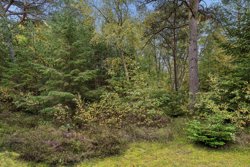 Sommerland 91, Odde, 9560 Hadsund